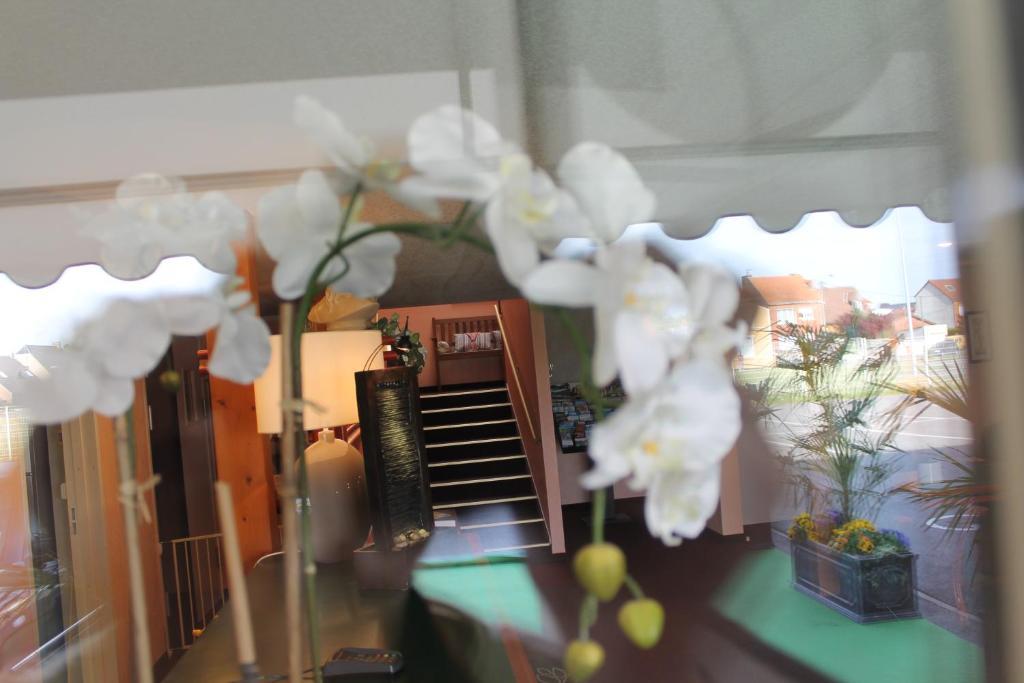 诺耶勒斯戈达 Quick Palace酒店 外观 照片